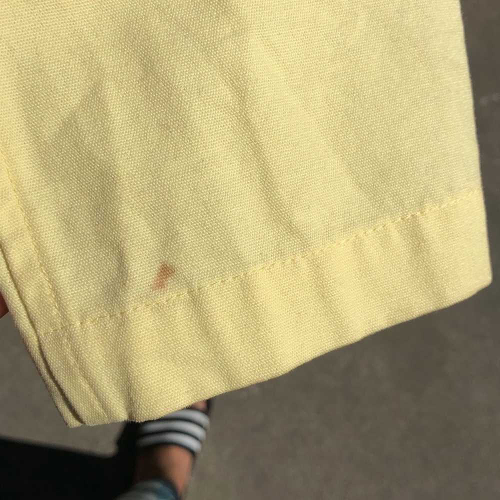 Yellow jacket - Picture 6 of 6
